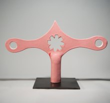 Pinky