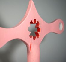 Pinky (Detail)