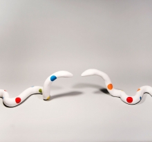 Circus Snakes (diptych)