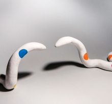 Circus Snakes (diptych)